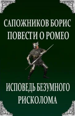 Борис Сапожников Исповедь безумного рисколома обложка книги