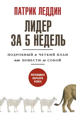 Патрик Леддин Лидер за 5 недель. Подробный и четкий план как повести за собой обложка книги