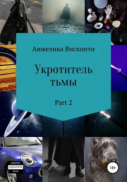 Анжелика Висконти Укротитель тьмы. Part 2 обложка книги