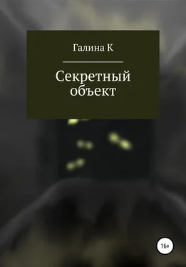 Галина К. Секретный объект обложка книги