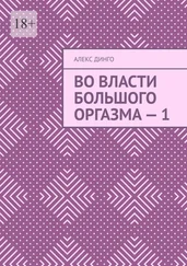 Алекс Динго - Во власти большого оргазма – 1