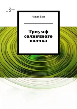 Atman Bass Триумф солнечного волчка обложка книги