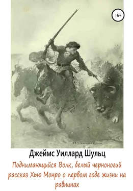 Джеймс Уиллард Шульц Поднимающийся Волк, белый черноногий обложка книги