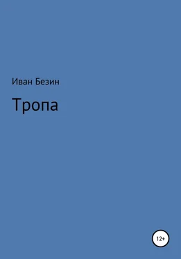 Иван Безин Тропа обложка книги