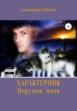 Александр Забусов Характерник. Перунов волк