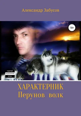 Александр Забусов Характерник. Перунов волк обложка книги