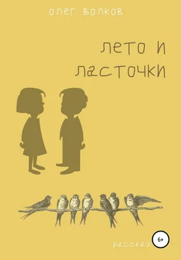 Олег Волков Лето и ласточки обложка книги