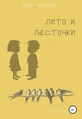 Олег Волков - Лето и ласточки