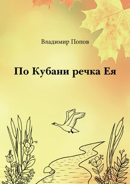 Владимир Попов По Кубани речка Ея обложка книги