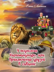 Елена Лапшина - У подножия Килиманджаро, или Приключения друзей в саванне