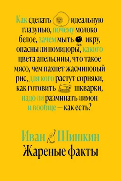 Иван Шишкин Жареные факты обложка книги