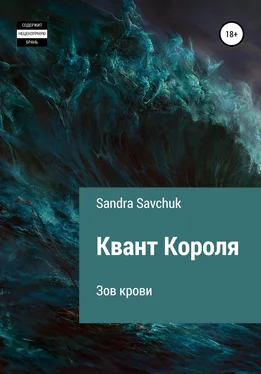 Sandra Savchuk Квант Короля. Зов крови обложка книги
