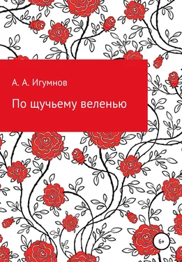 Алексей Игумнов По щучьему веленью обложка книги