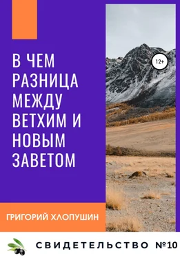 Григорий Хлопушин В чем разница между Ветхим и Новым Заветом обложка книги