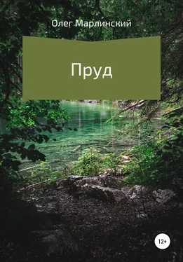 Олег Марлинский Пруд обложка книги
