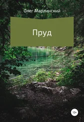 Олег Марлинский - Пруд