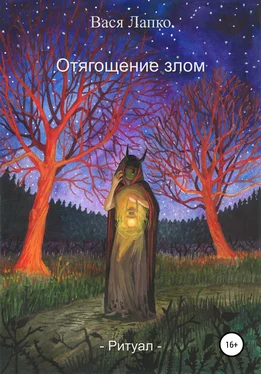 Вася Лапко Отягощение злом. Ритуал обложка книги