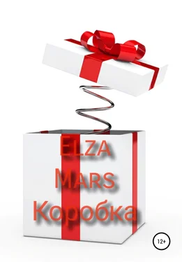 Elza Mars Коробка обложка книги