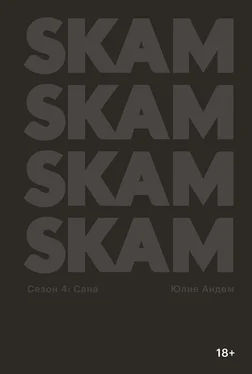 Юлие Андем SKAM. Сезон 4: Сана обложка книги