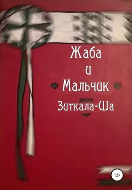 Зиткала-Ша Жаба и Мальчик обложка книги