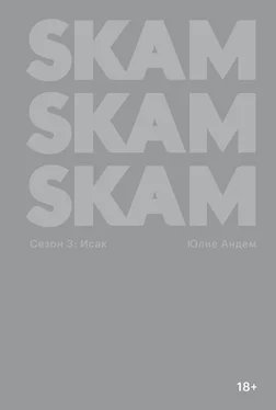 Юлие Андем SKAM. Сезон 3: Исак обложка книги