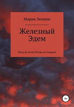 Мария Леманн Железный Эдем обложка книги