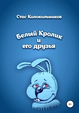 Стас Колокольников Белый Кролик и его друзья обложка книги