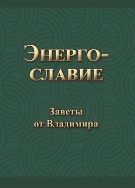 Владимир Гришин Энергославие. Заветы от Владимира обложка книги