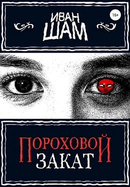 Иван Шам Пороховой закат обложка книги