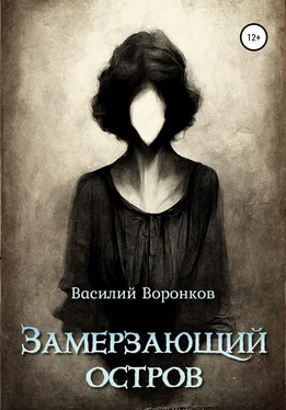 Василий Воронков Замерзающий остров обложка книги