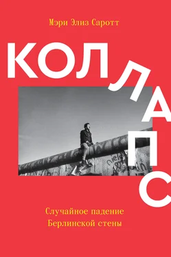 Мэри Элиз Саротт Коллапс. Случайное падение Берлинской стены обложка книги