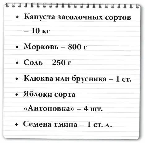 Подготовленные кочаны капусты моем чистим от верхнего слоя Шинкуем всю - фото 169