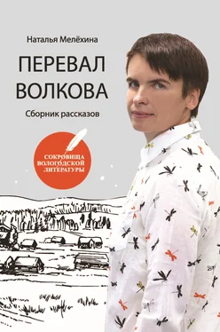 Наталья Мелёхина Перевал Волкова обложка книги