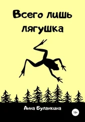 Анна Буланкина - Всего лишь лягушка