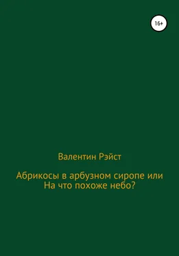 Валентин Рэйст Абрикосы в арбузном сиропе или На что похоже небо? обложка книги