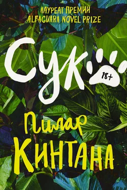 Пилар Кинтана Сука обложка книги