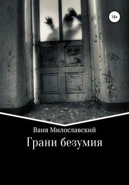 Ваня Милославский Грани Безумия обложка книги