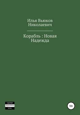 Илья Вьюков Корабль: новая надежда обложка книги