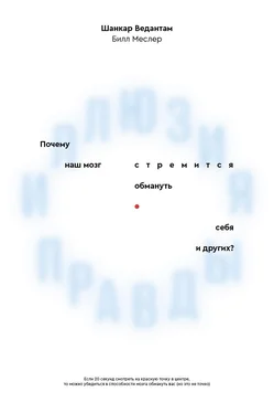 Шанкар Ведантам Иллюзия правды. Почему наш мозг стремится обмануть себя и других? обложка книги