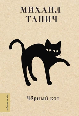 Михаил Танич Черный кот обложка книги