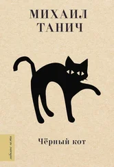 Михаил Танич - Черный кот
