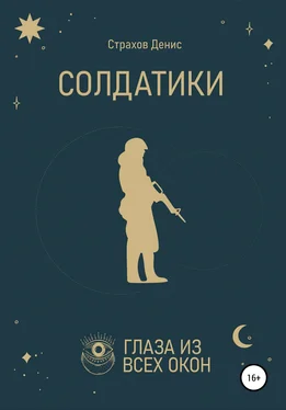 Денис Страхов Солдатики обложка книги