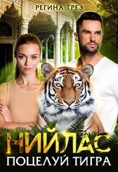 Регина Грез - Нийлас. Поцелуй тигра
