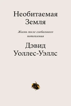 Дэвид Уоллес-Уэллс Необитаемая земля. Жизнь после глобального потепления обложка книги