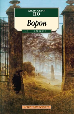 Эдгар Аллан По The Raven / Ворон обложка книги