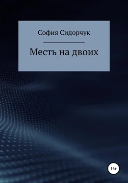 София Сидорчук Месть на двоих обложка книги