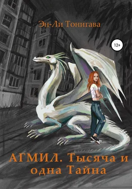 Эн-Ли Тонигава АГМИЛ. Тысяча и одна Тайна обложка книги