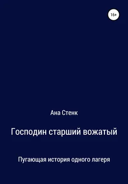 Ана Стенк Господин старший вожатый обложка книги