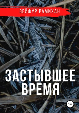 Зейфур Рамихан Застывшее время обложка книги