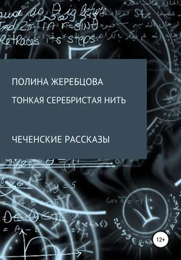 Полина Жеребцова Тонкая серебристая нить обложка книги